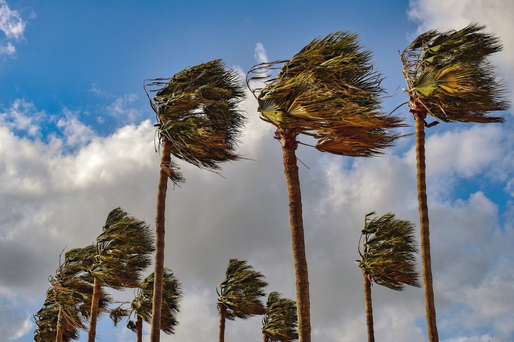 Caption: Wind systems on Earth vary from the global-scale trade winds and jet streams to local sea breezes, but they all ultimately depend on Earth being unevenly heated by the Sun. (Photo: www.needpix.com)